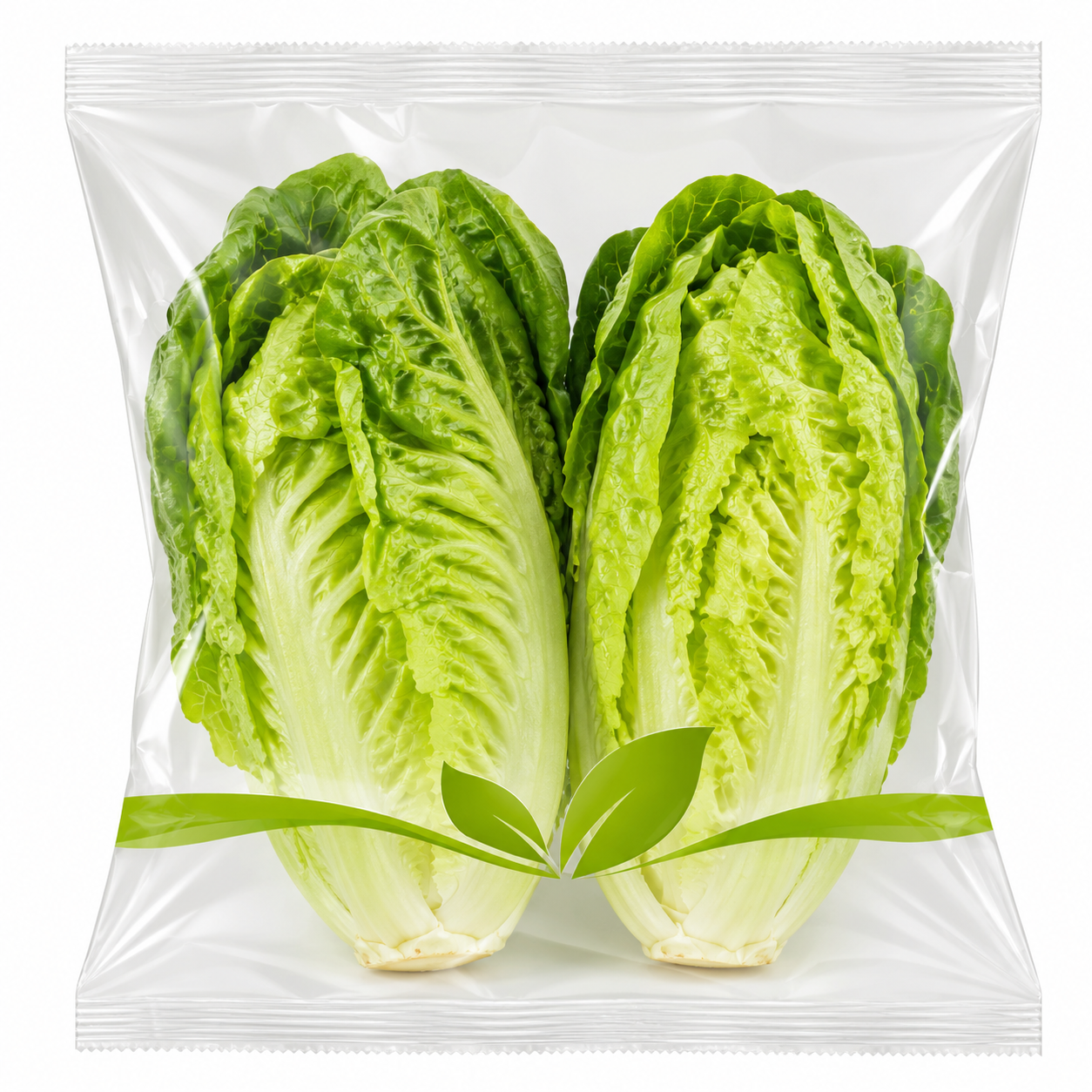 Little Gem Lettuce x2