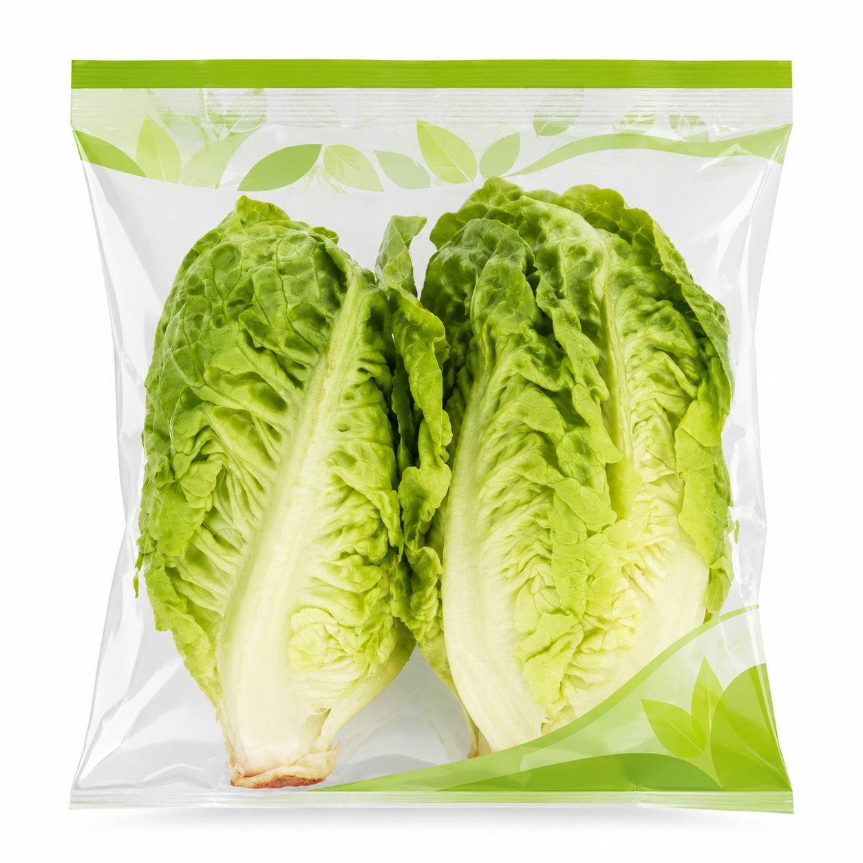 Little Gem Lettuce x2