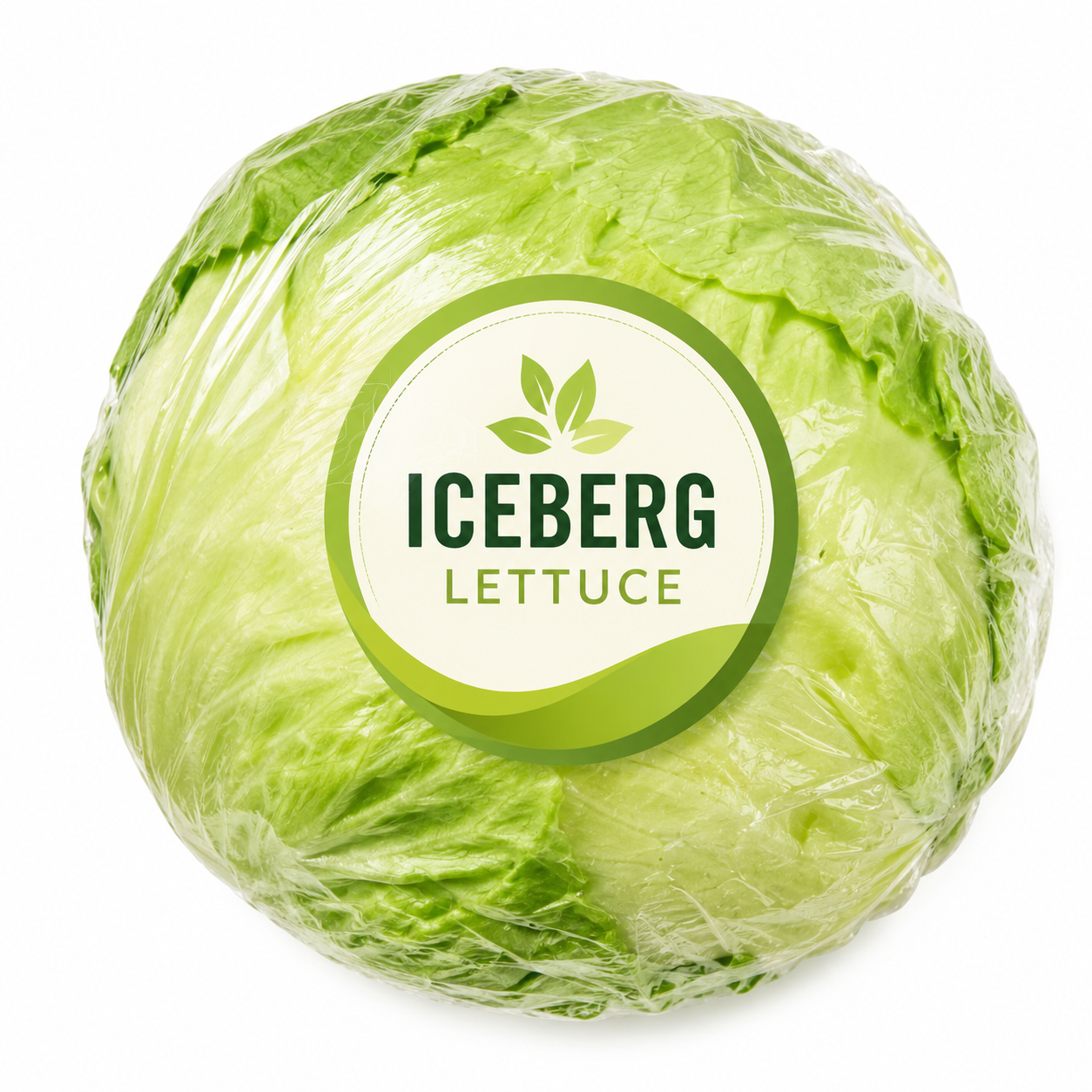 Iceberg Lettuce Each ( Size may vary)