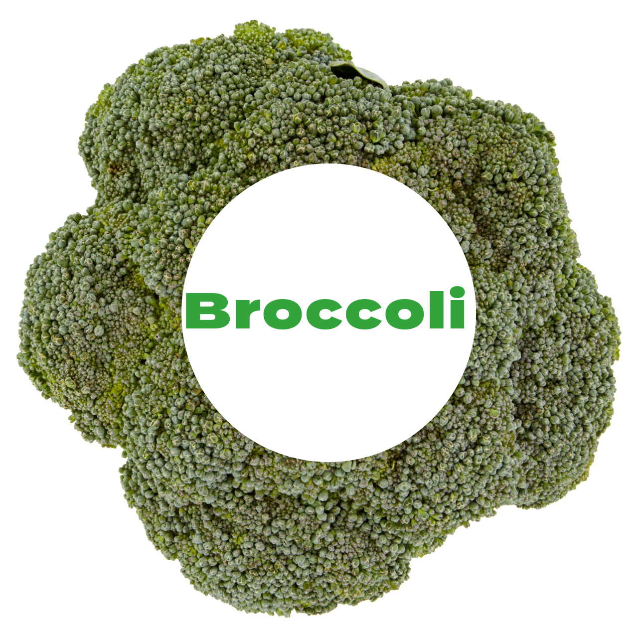 Broccoli Each (Size may vary)