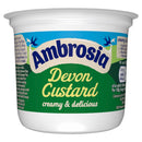 Ambrosia Devon Custard Pot 150g