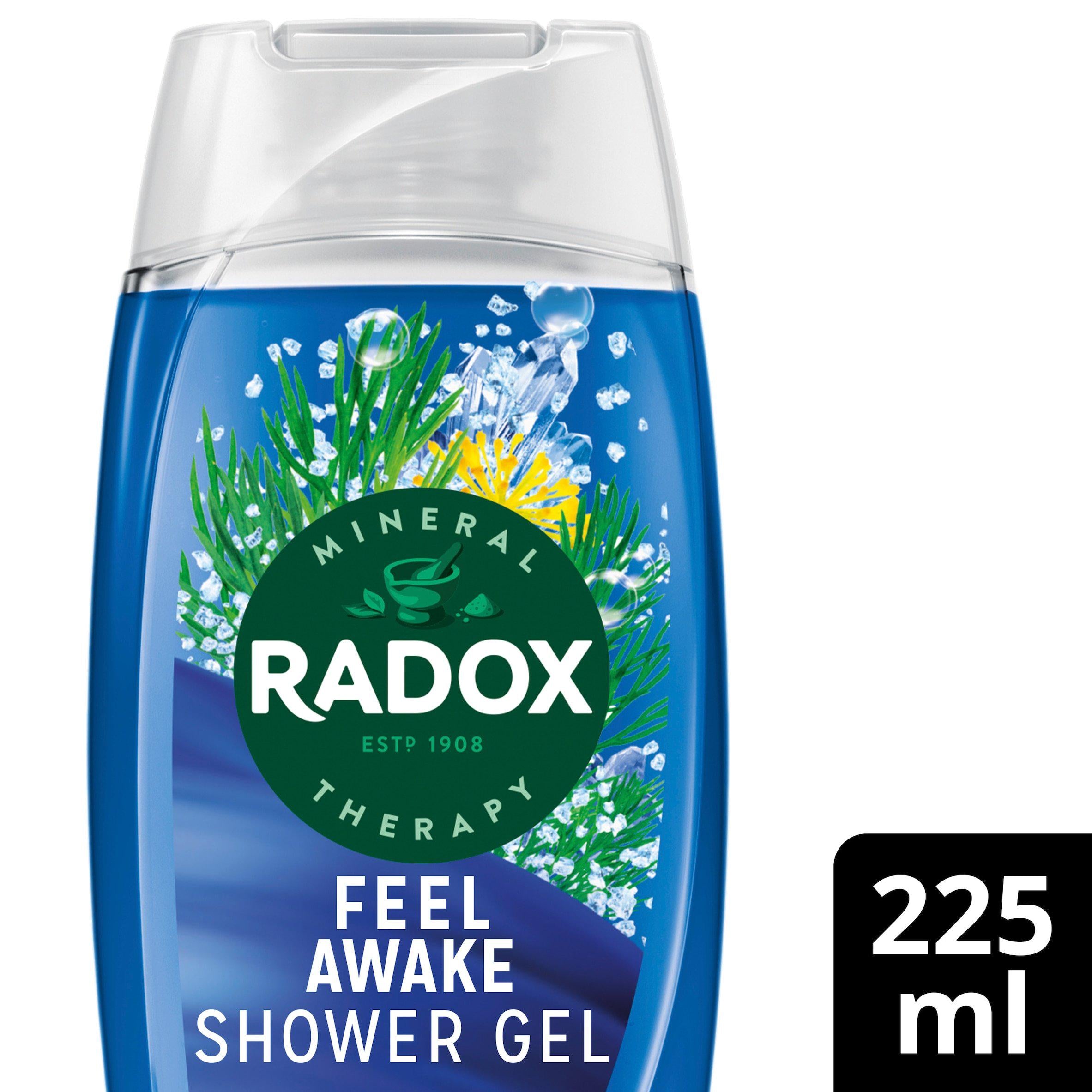Radox Feel Awake Shower Gel 225ml - Moo Local