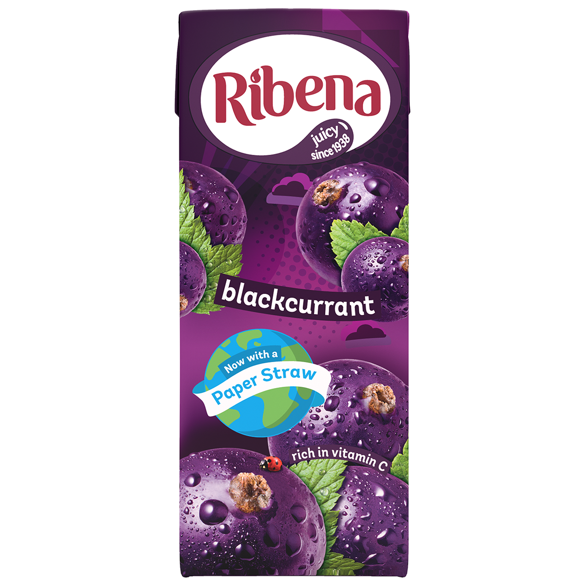 Ribena Blackcurrant Juice Drink 250ml - Moo Local
