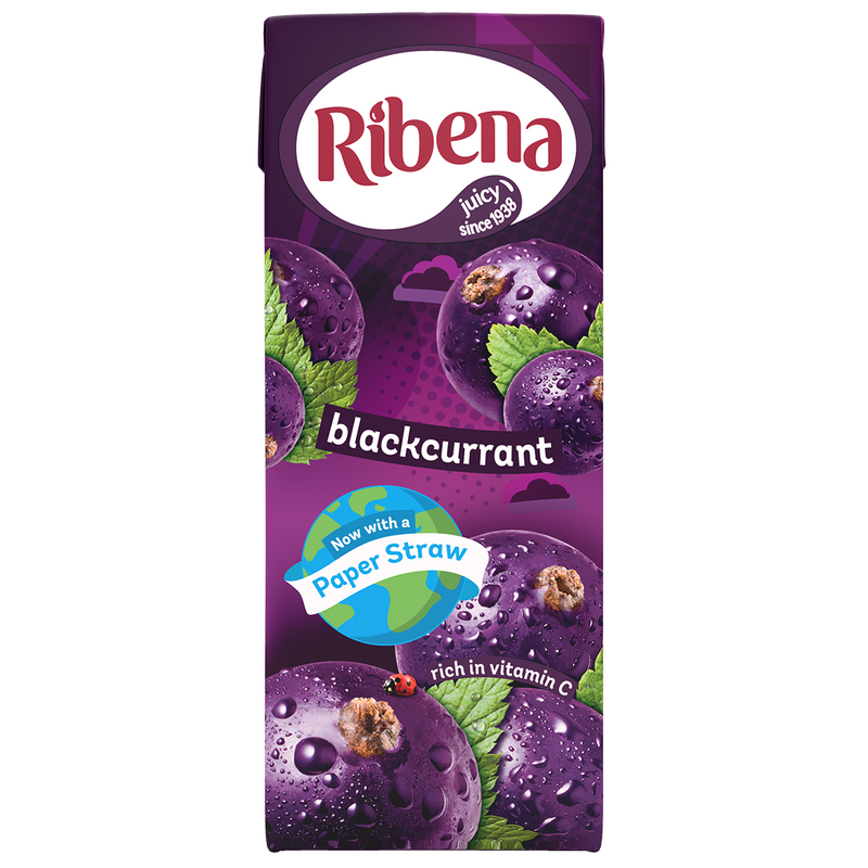 Ribena Blackcurrant Juice Drink 250ml - Moo Local
