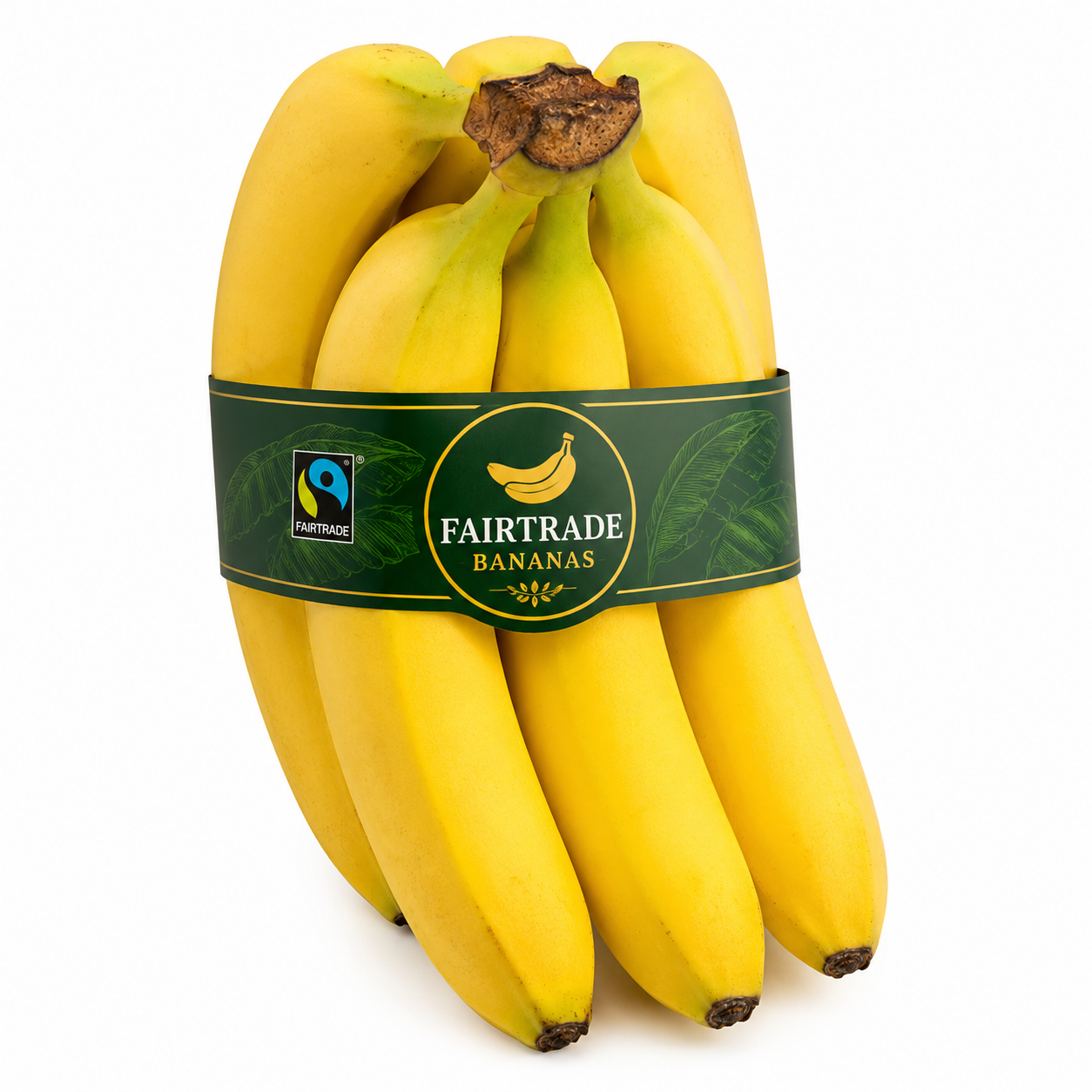 Fairtrade Bananas x5