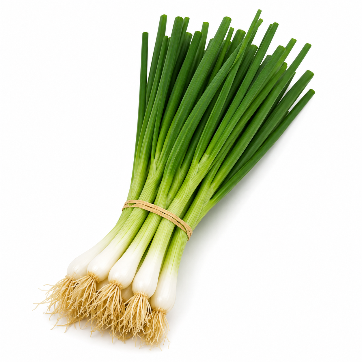 Spring Onions Bunched