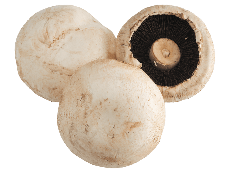 Large Flat White Mushrooms 250g