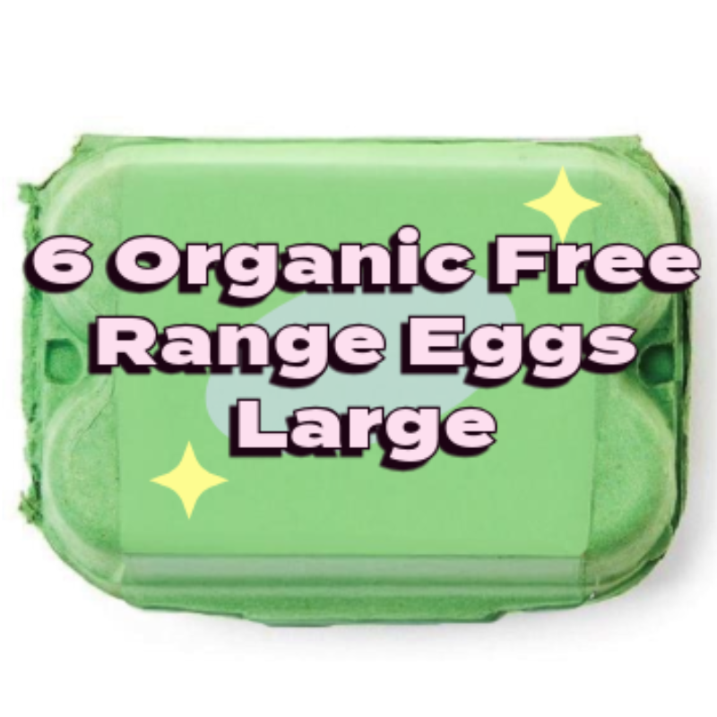 British Large Free Range Organic Eggs  x6