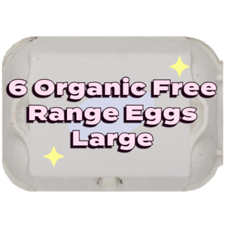 British Large Free Range Organic Eggs  x6