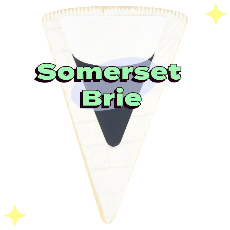 Somerset Brie Cheese 230g