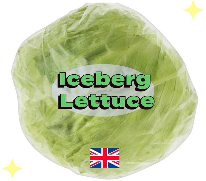 Iceberg Lettuce Each ( Size may vary)