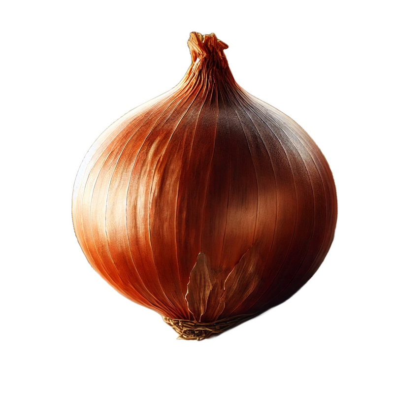 Brown Onions Loose Each (Size may vary)