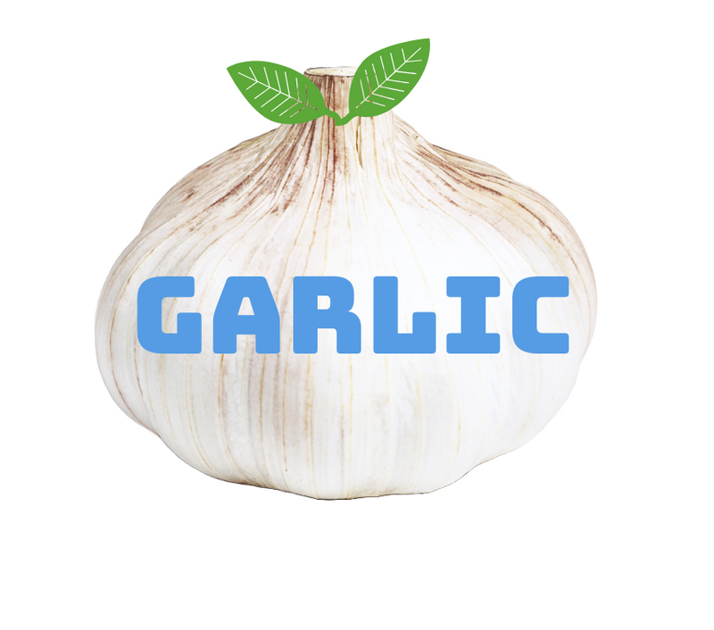 Garlic Each (Size may vary)