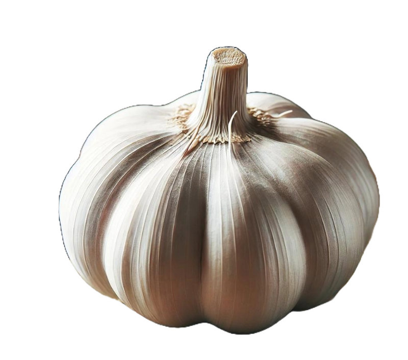 Garlic Each (Size may vary)