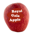 Royal Gala Apple Loose (Single)