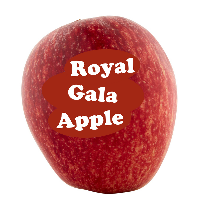 Royal Gala Apple Loose (Single)