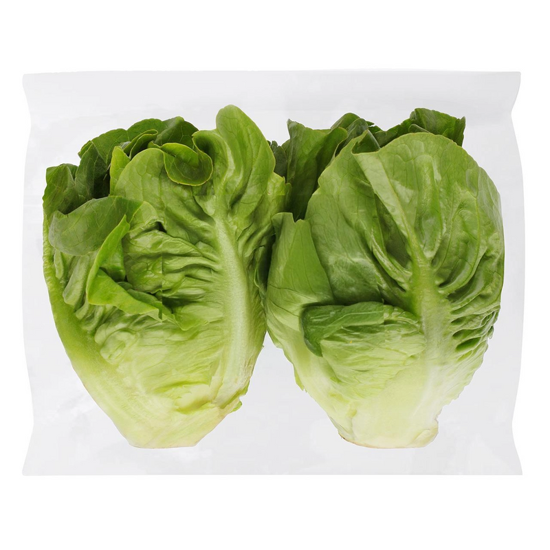 Little Gem Lettuce x2