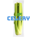 Celery Each