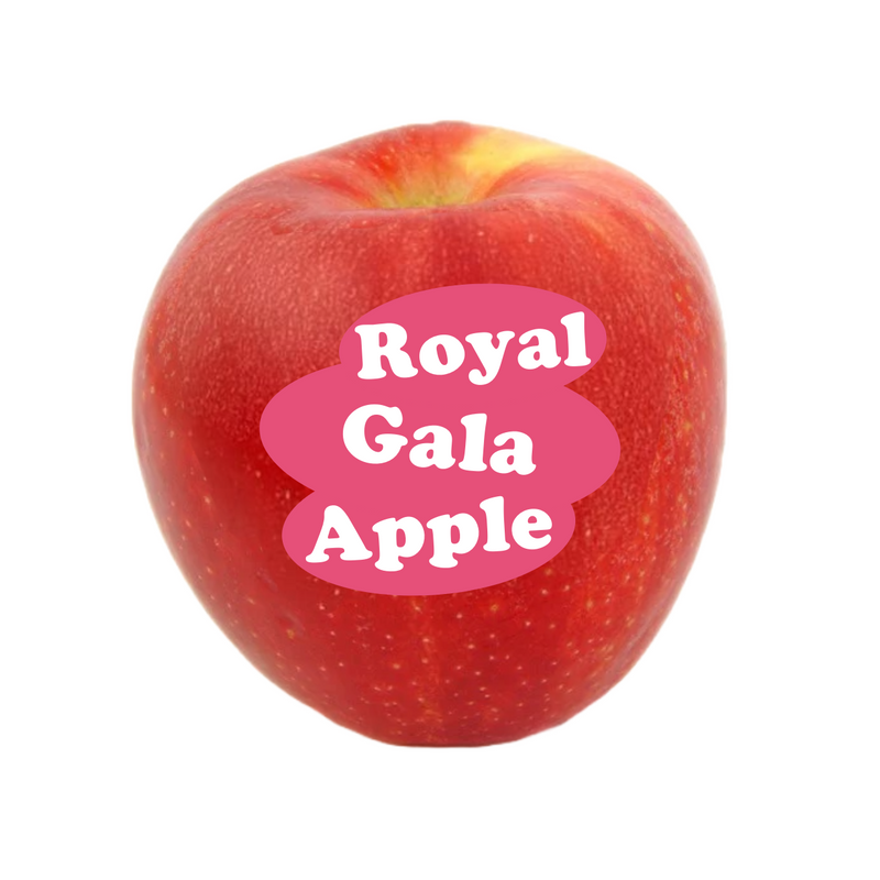 Royal Gala Apple Loose (Single)