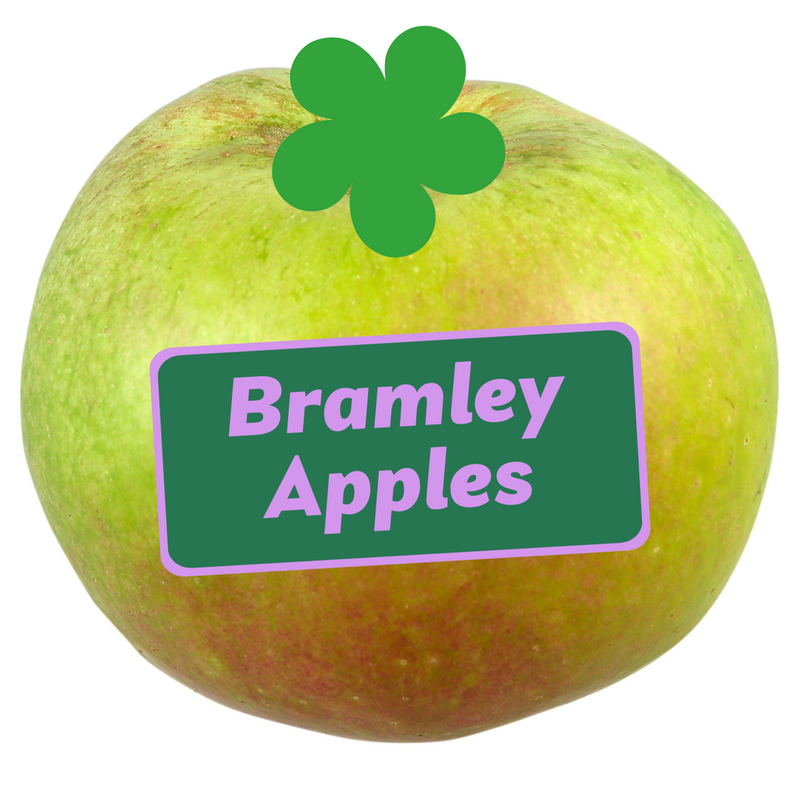 British Bramley Cooking Apple Loose (Single)