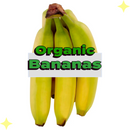 Fairtrade Bananas Organic x5