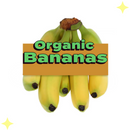 Fairtrade Bananas Organic x5