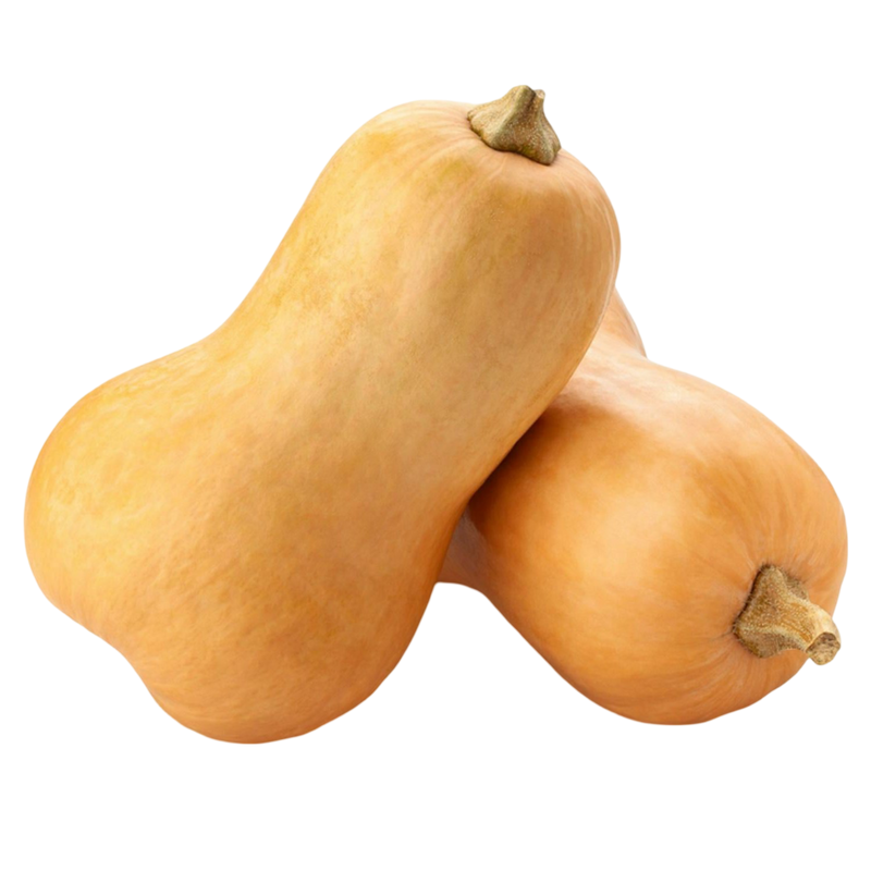 Butternut Squash Loose Each (Size may vary)