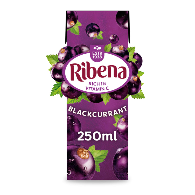 Ribena Blackcurrant Juice Drink 250ml - Moo Local