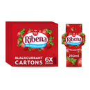 Ribena Strawberry Cartons 6x250ml - Moo Local