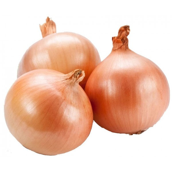 Brown Onions 1Kg (6601485746265)