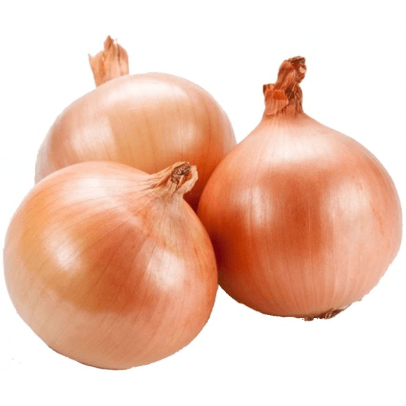 Brown Onions Each (4669654204505)