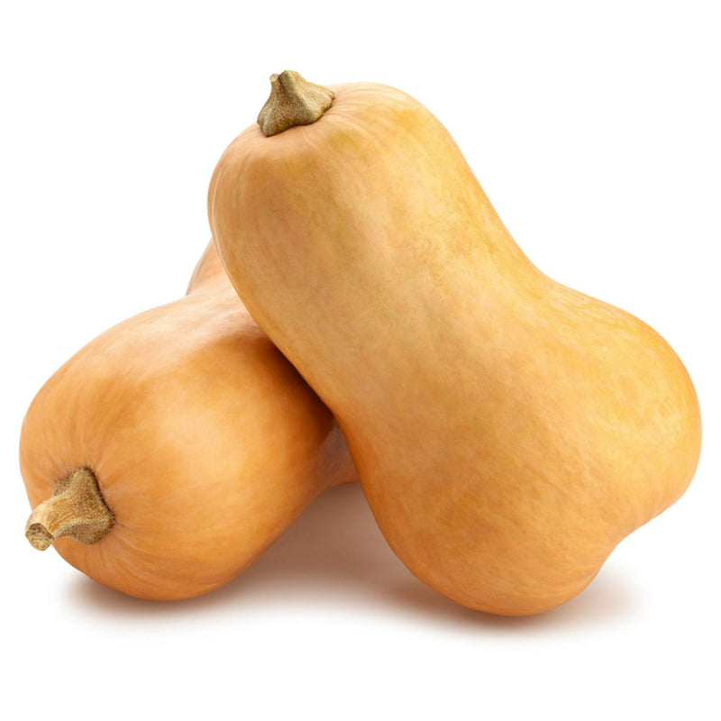 Butternut Squash Loose Each ( Size may vary ) (6940353298521)