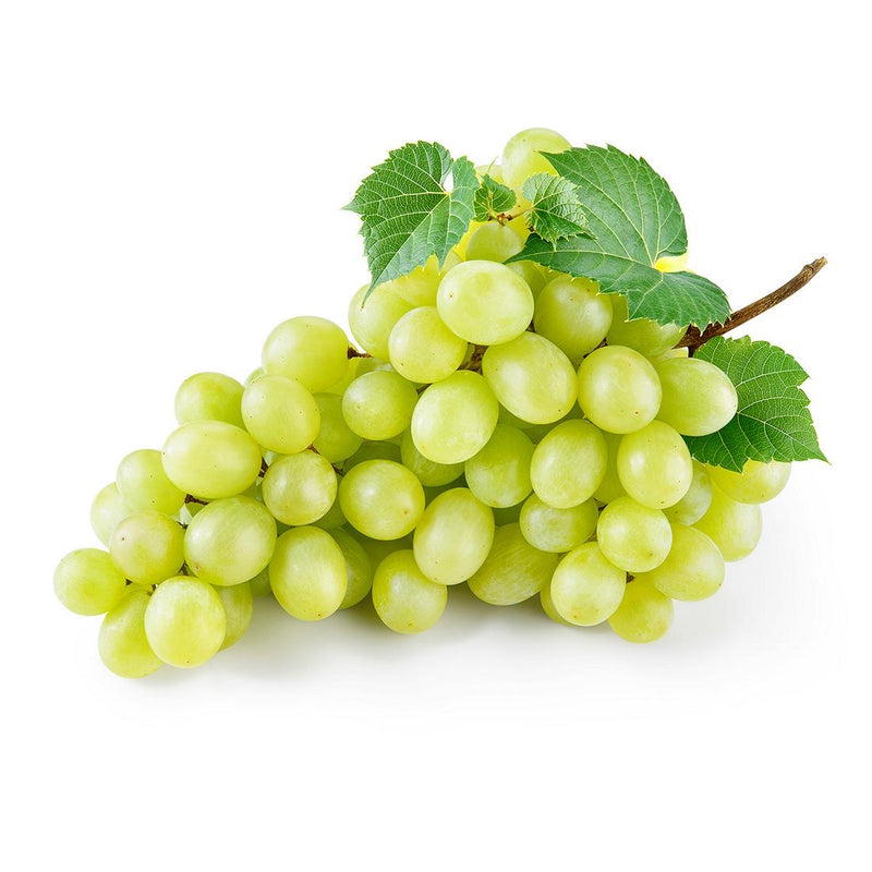 White Seedless Grapes 500g (4671813877849)