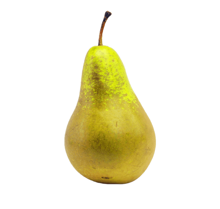 Conference Pear Loose (Single) (6537963667545)