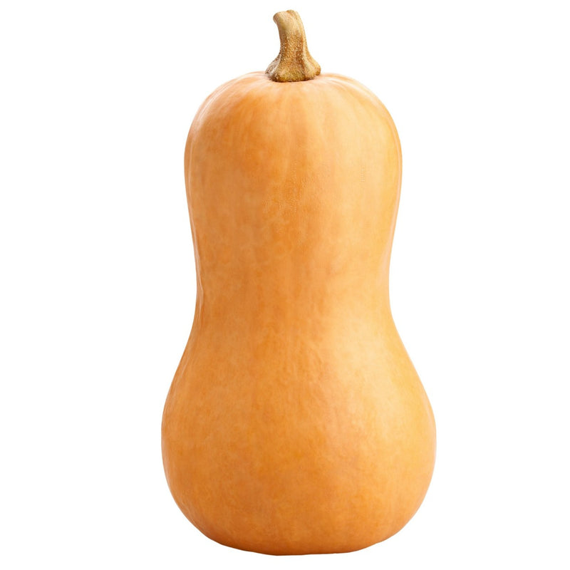 Butternut Squash Loose Each ( Size may vary ) (6940353298521)