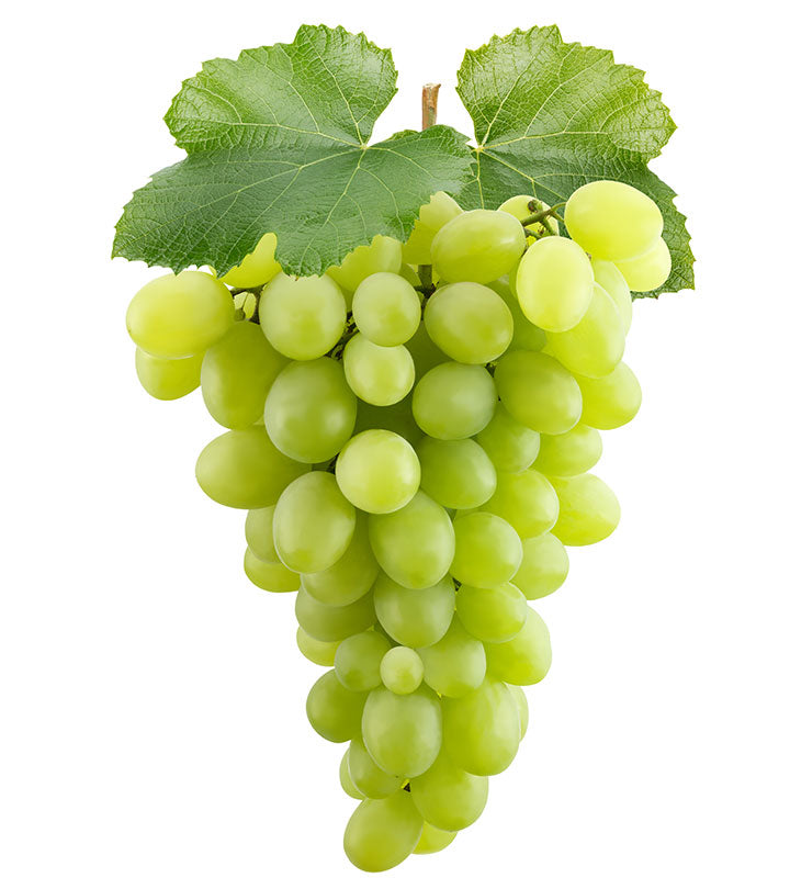 White Seedless Grapes 500g - Moo Local